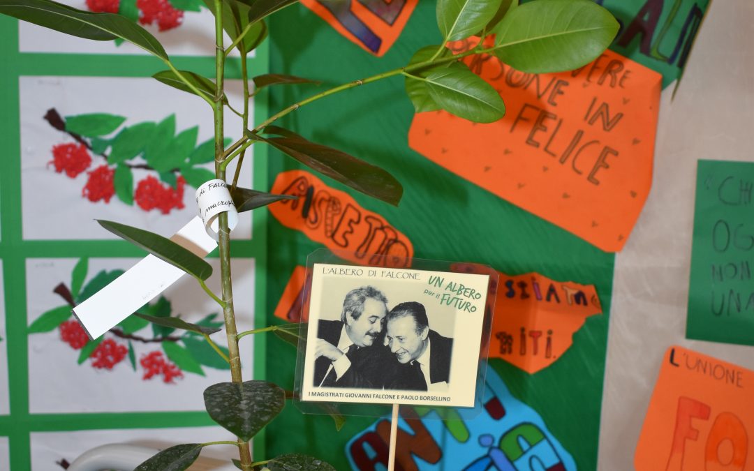 COLTIVIAMO LA SPERANZA DI UN FUTURO MIGLIORE: UN ALBERO PER IL FUTURO 23-24
